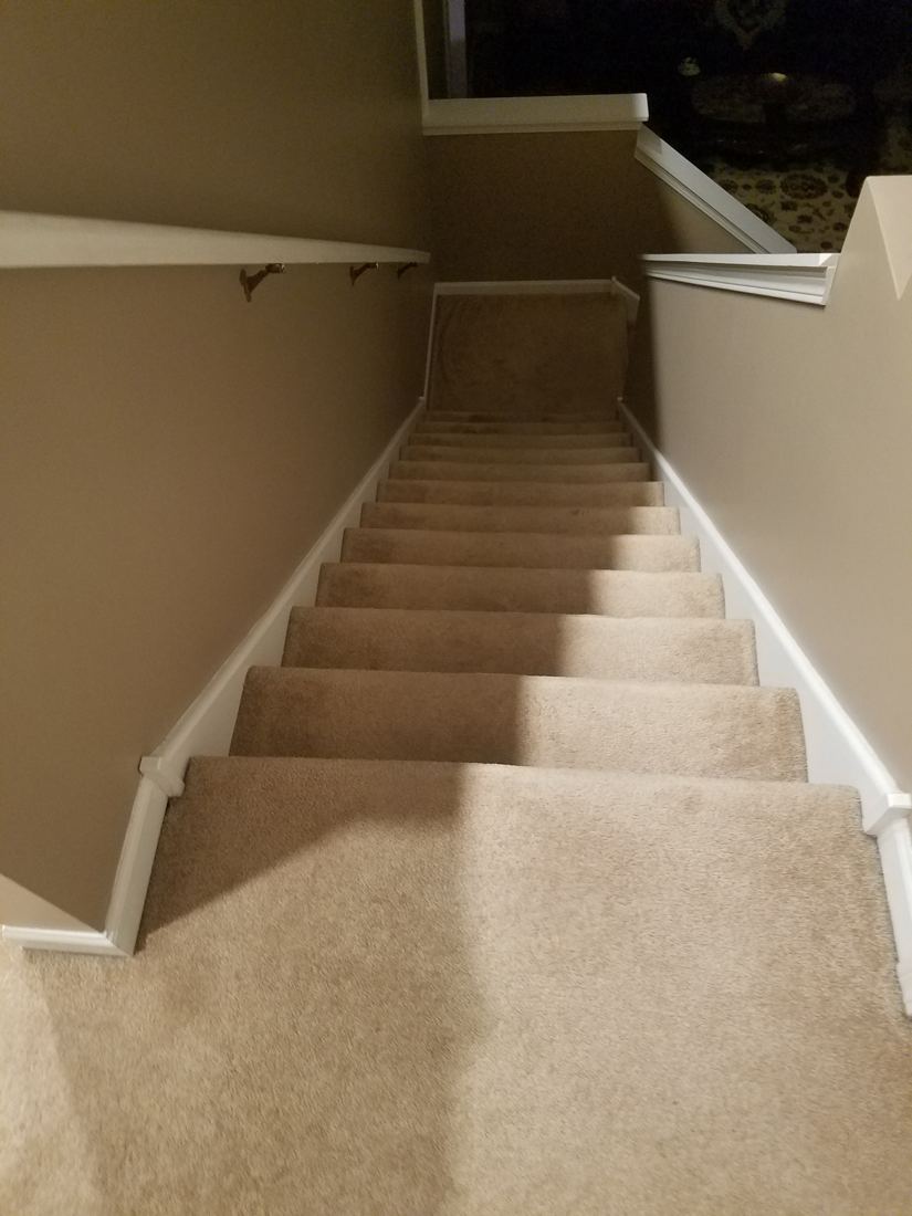 Before: Carpeted stairway to hardwood